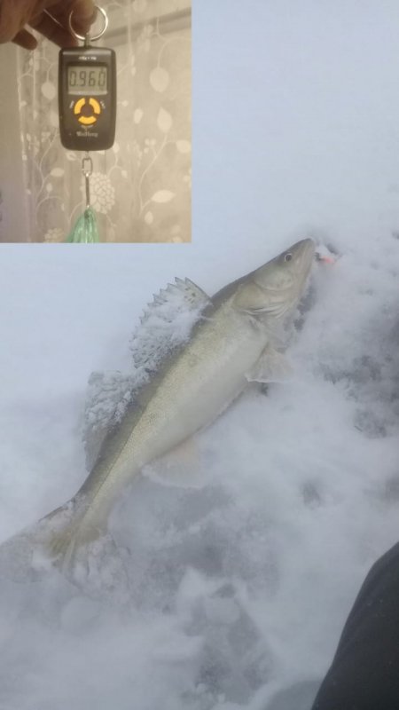 ОВХ. Счёт открыт