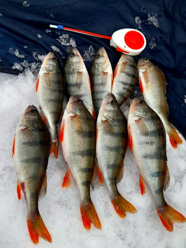 На Тань- Ване пока не шибко хорошо.