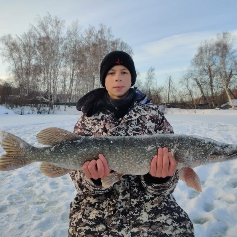Жерлицы в городе