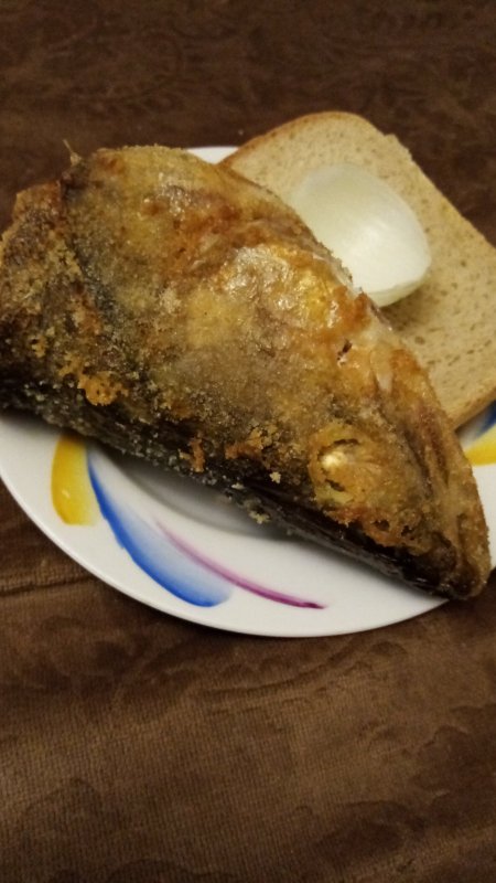 Попался,,,, который кусался.