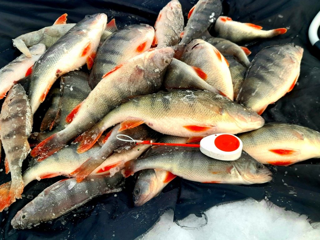 Дары ОВХ.