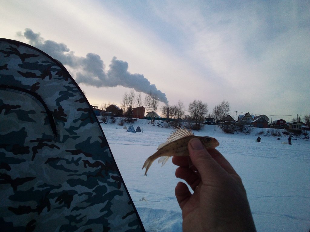Крупняк подошел!