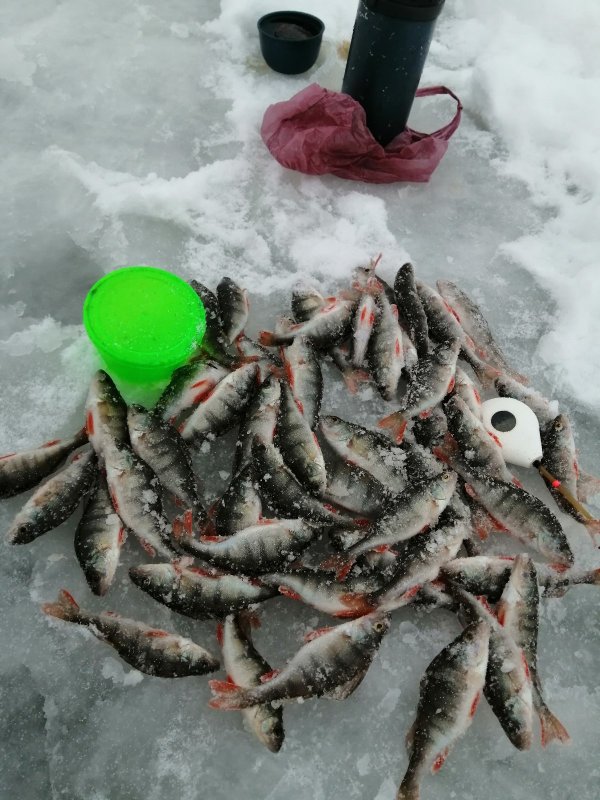 Сегодня клев по лучше, чем вчера.