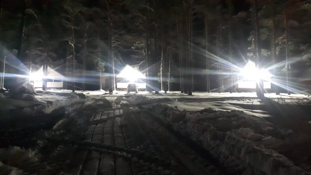 В канун Рождества!...