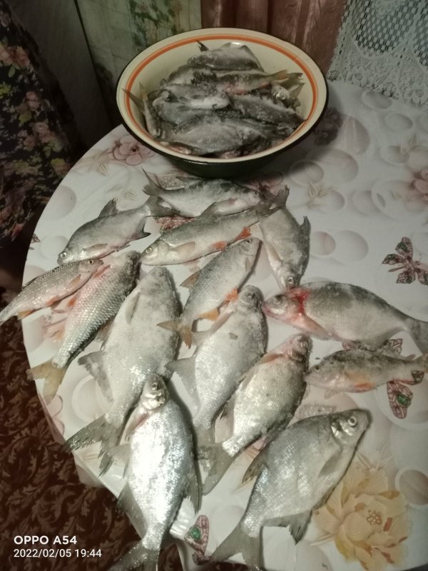 "Фанера", и другие.