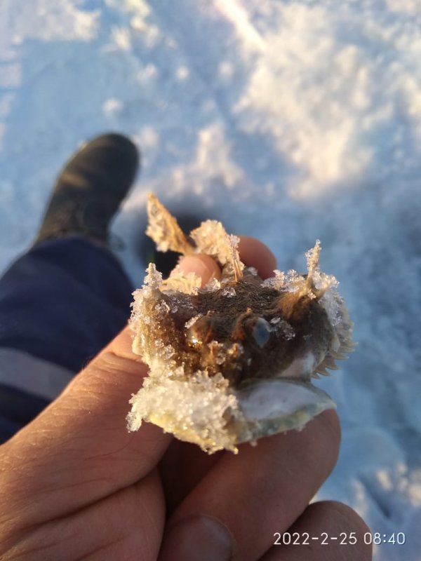 Рыбалка в Приморье.