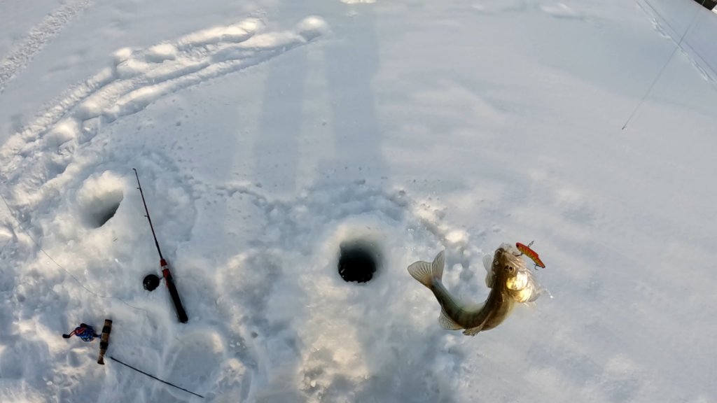 Он сломал удочку )))
