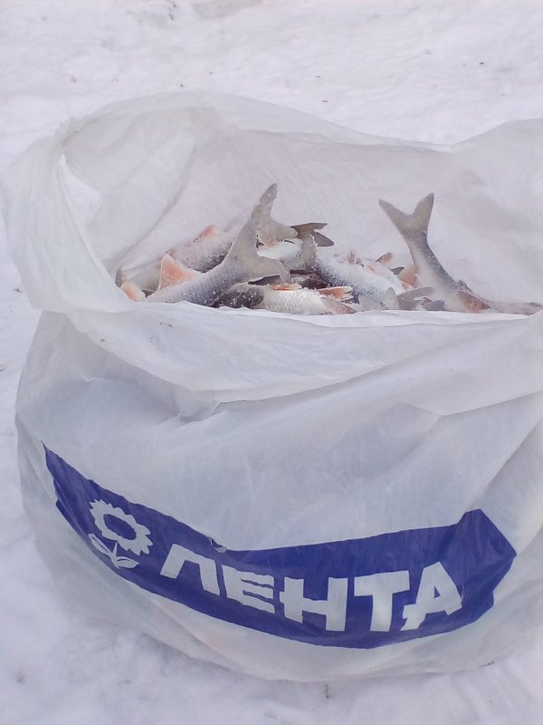 5 и хватит.