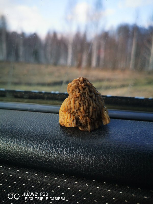 А кто это у нас тут такой маленький!?