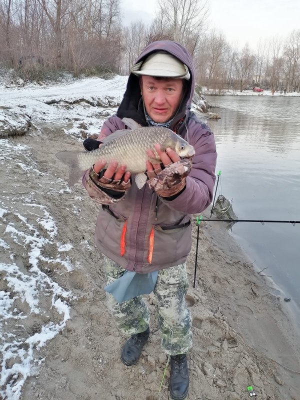 "Угрюмый" карасёк