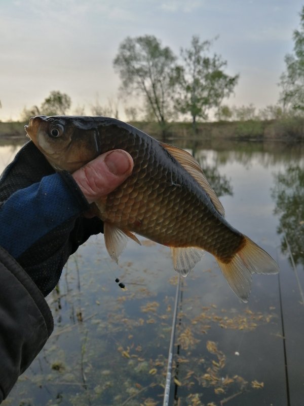 20.05, 05.09мин.