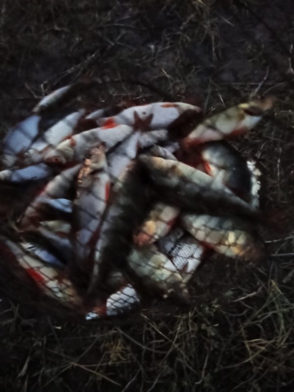 По мормышил на закате.