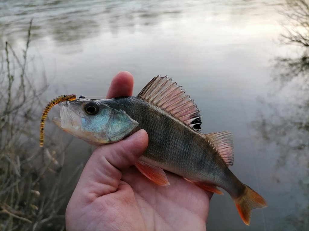Мормышинг на реке Иня.