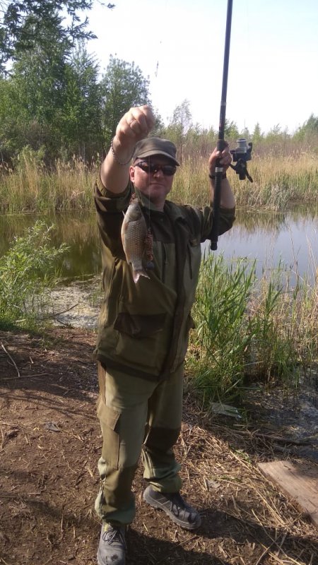 Криводановский красавчик.