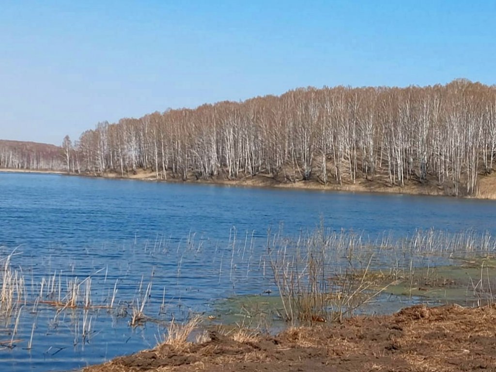 Лесное озерцо в мае.