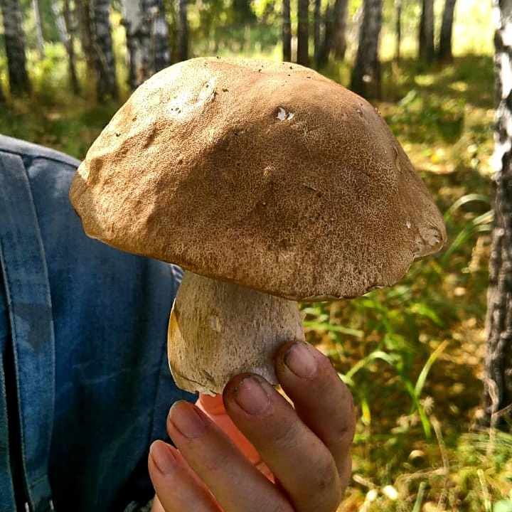 Первый "пошёл").