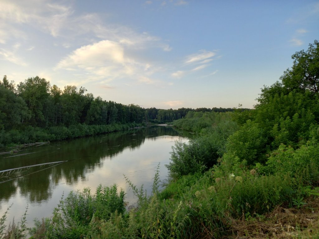 верховья берди