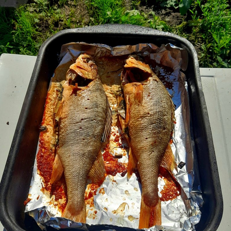 Последний окунёвый запас).