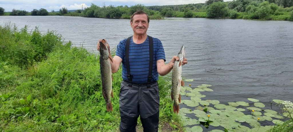 на Калиновом