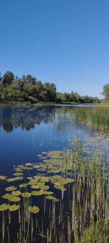 Красота