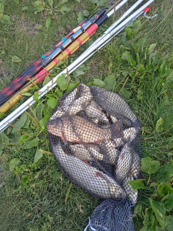 Озеро за огородами