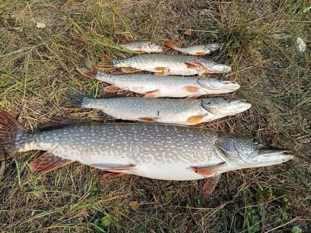 На просторах великой сибирской реки....