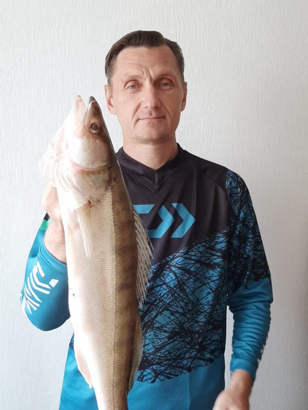 Август идёт. Судак не берет. Толькоб уйти от ноля.