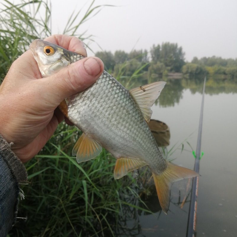 Под 200 грамм.