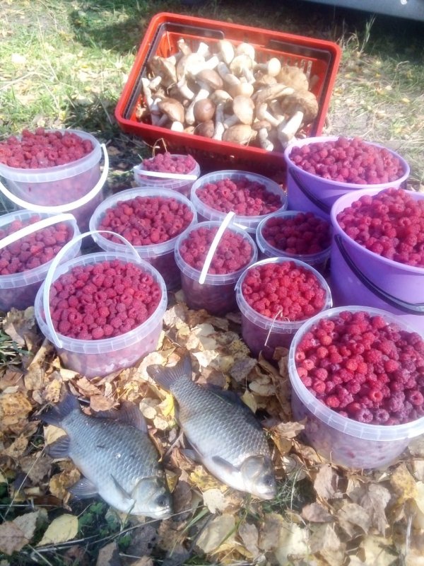 Сегодня на рыбалке.