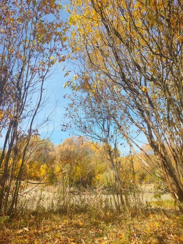 Осень