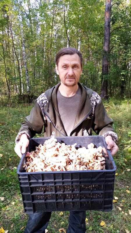 Грибное льдорадо