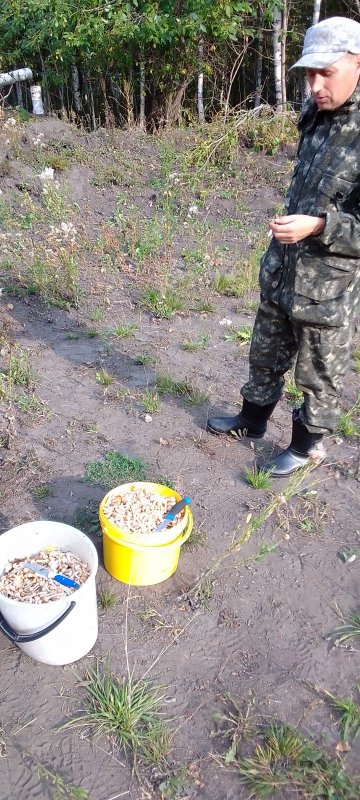 Дима и в грибах знаток☝️?