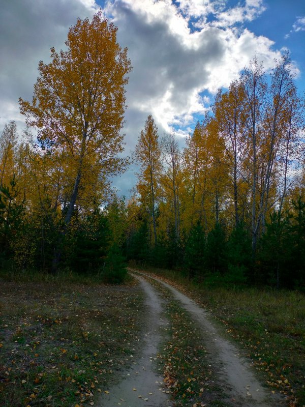 Осень в красках