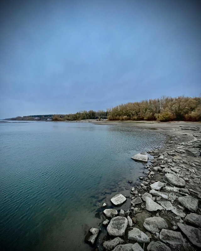 Заельцовский парк