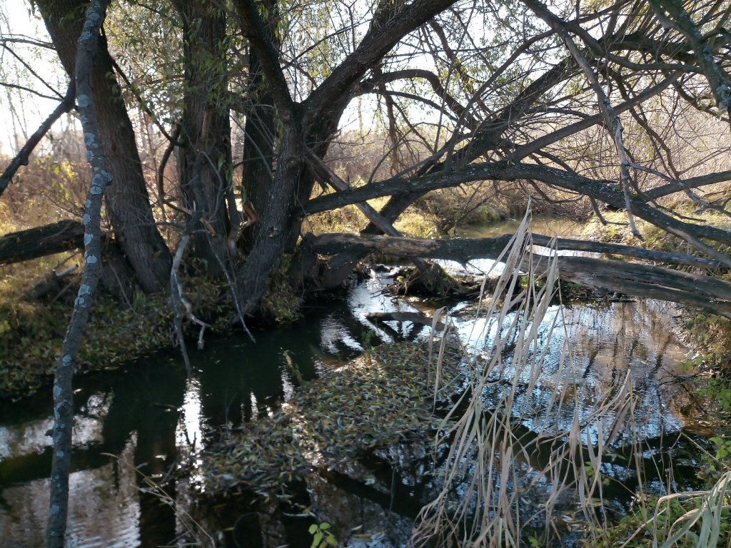 Река Мышланка.
