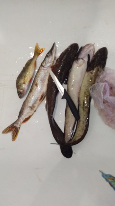 "BURBOT"!