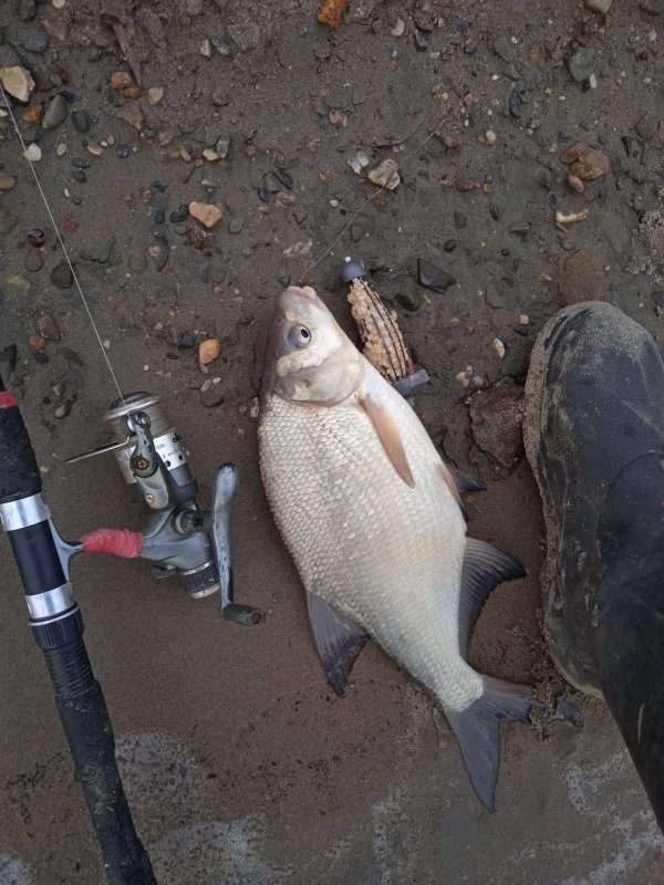 В коптилку☝🎣👍
