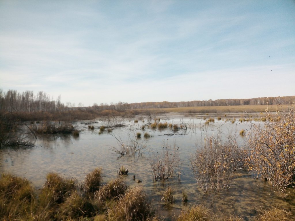 Щучье логово.