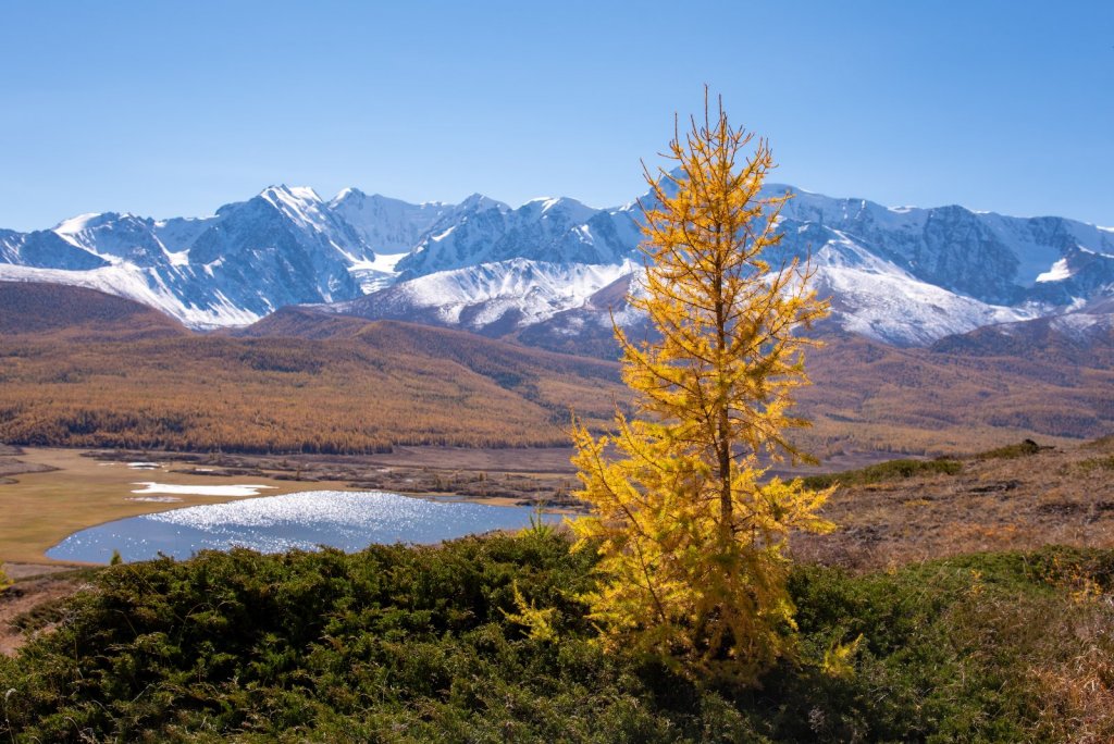 Осень