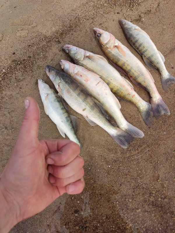 Закрылся по жидкой воде. Буду ждать лёд!