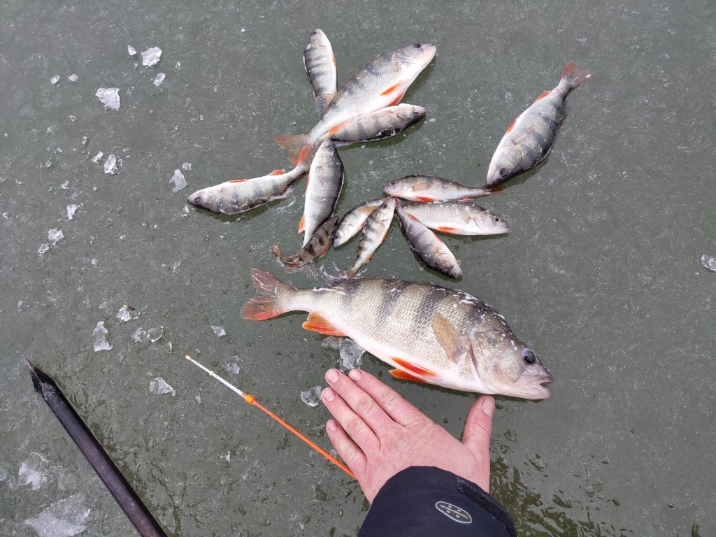 Пощупал лёД!