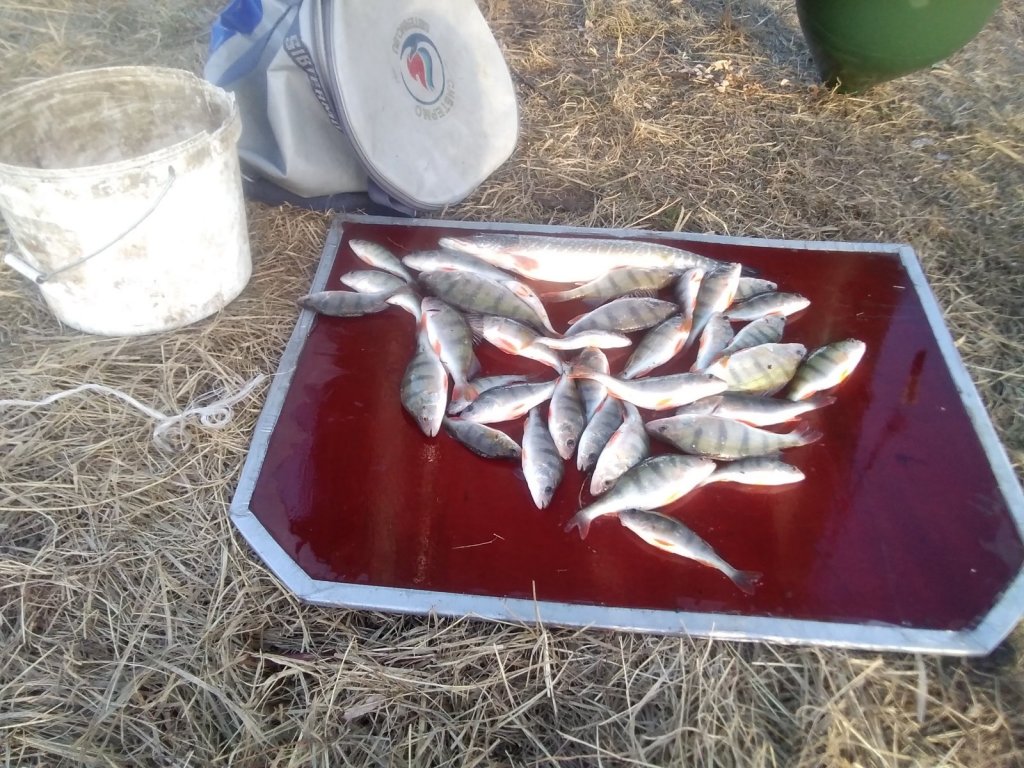 Карасук. 07.11.22.