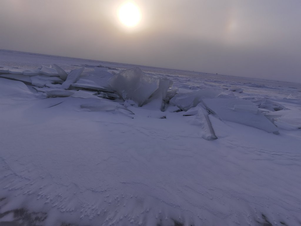 Морской, рыбы нет)