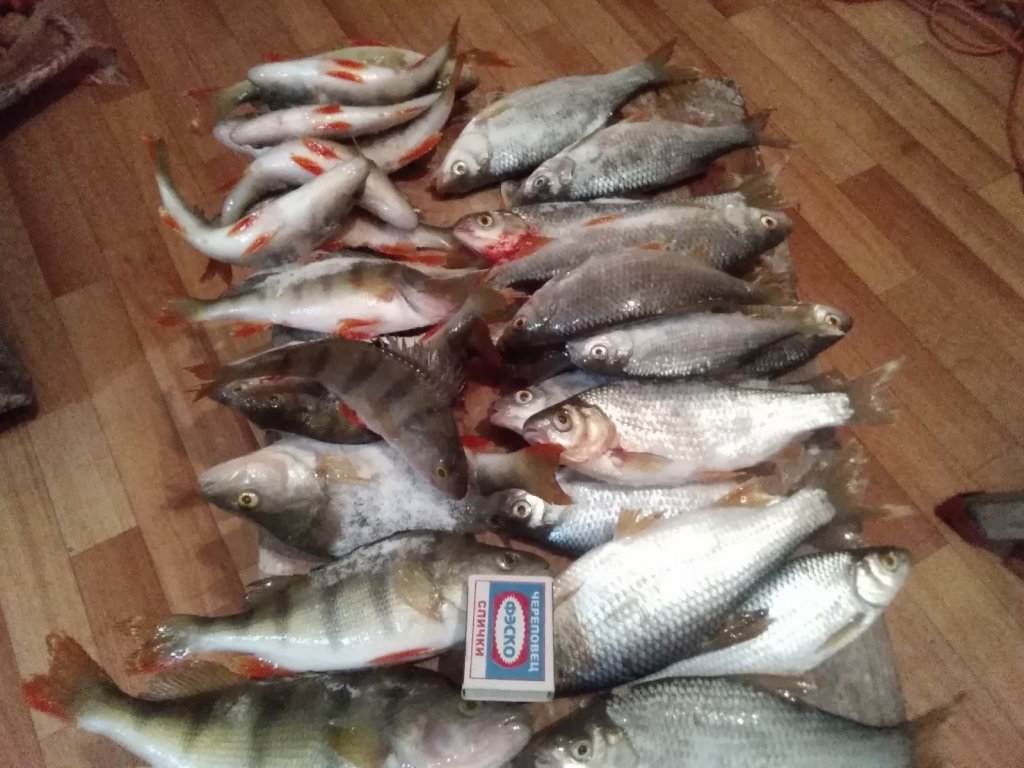 Карасук