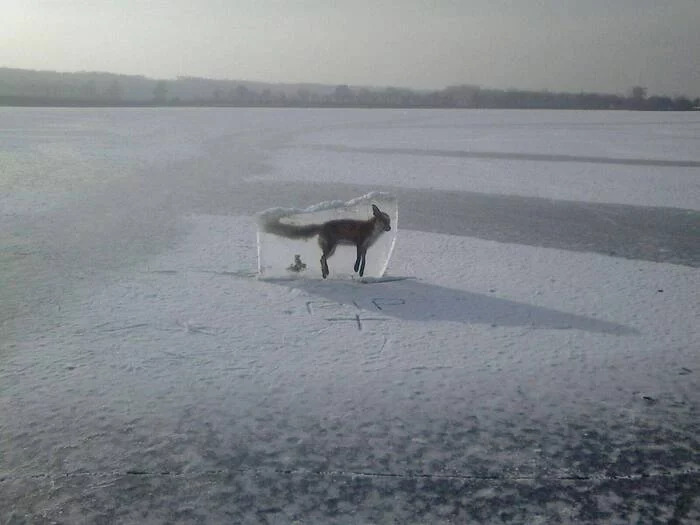 Помни про тонкий лед
