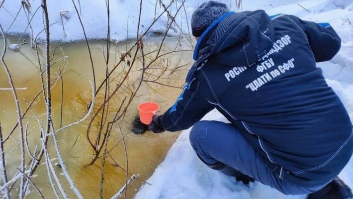 Экологический детектив. Кто и чем травит речку Нарнисту в Новосибирске?