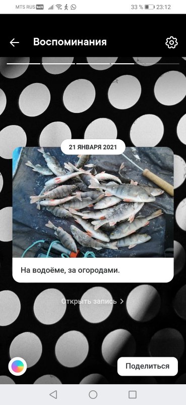 Улов на озере Юга. (Из архива)