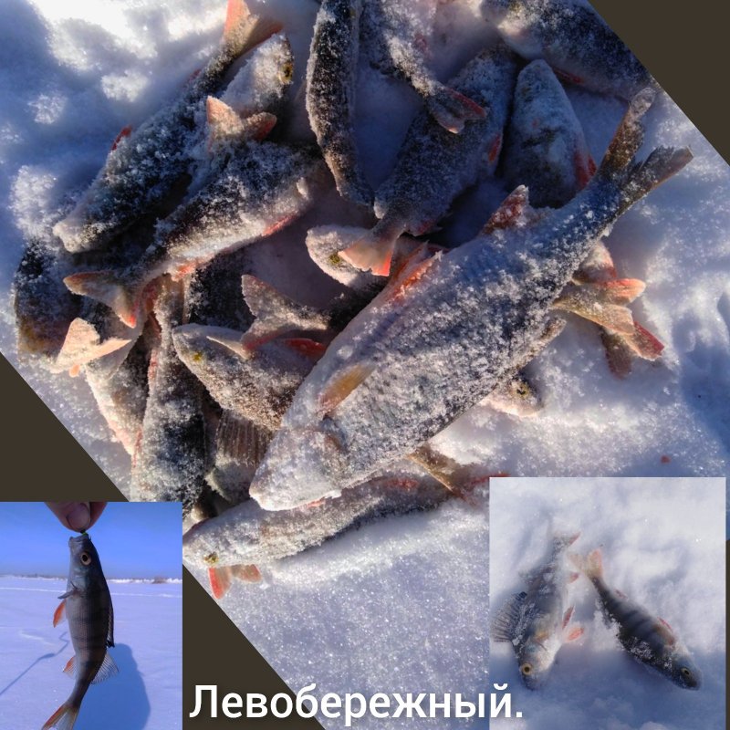 Улов.
