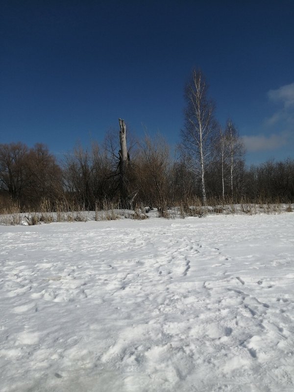 Сдаю точку. 🤫