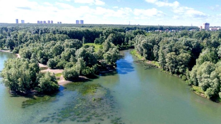 Левобережье Оби в Новосибирске ждут грандиозные изменения